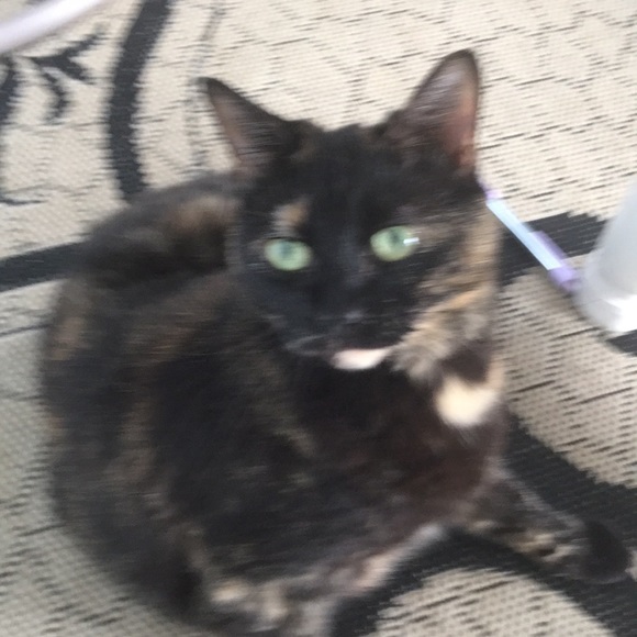 Meet your Posher, Nancy - Picture 1 of 1